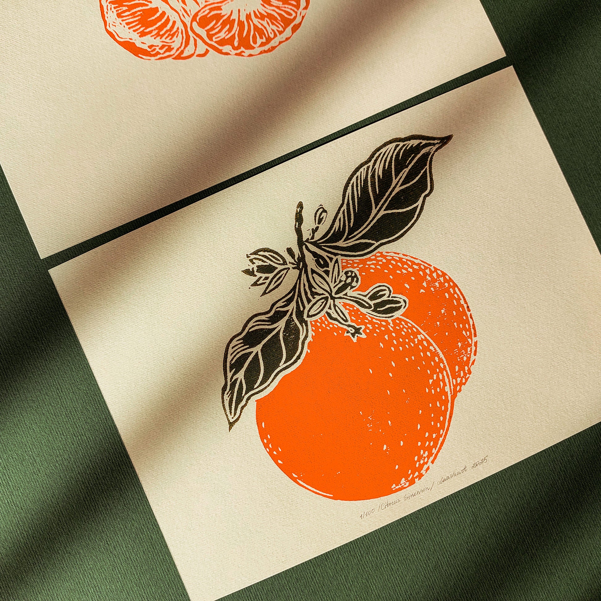 Vintage Clementine Slice Fruits Linocut Print Mini Gallery Wall Set of 2 Artwork Citrus Botanical Original Art Kitchen Cottagecore Decor 
wall hanging, Vintage art, unique wall art, trendy wall art, thank you gift boss, teacher appreciation gift, Summer wall art, sister in law gift, shelf decor, self gift, Sage green color, rustic artwork, Retro artwork, retirement gift, Relief print, realtor closing gift, Printmaking art, Plant print, plant lover gift, original illustration, hallway, original artwork