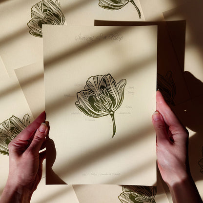 Vintage anatomy of a Tulip flower linocut print Wall art decor Linogravure Linocut print Lino print flower wall hanging Vintage art unique wall art trendy thank you gift boss teacher appreciation gift Summer Spring wall art sister in law gift signature shelf decor self gift Sage green color rustic wall art Retro artwork retirement Relief print realtor closing gift Printmaking art plant lover gift  Chateaucore