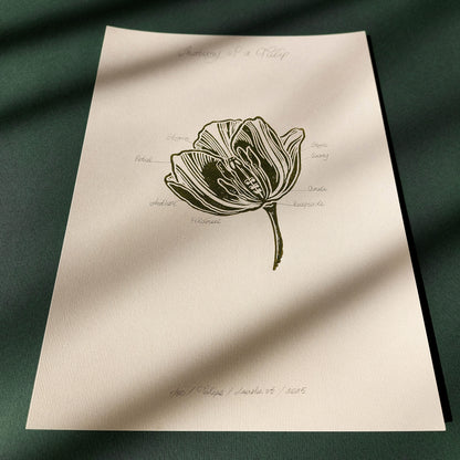 Vintage anatomy of a Tulip flower linocut print Wall art decor daughter in law gift cottagecore wall art cottage core Botanical  bookshelf decor Block print Beige color Bedroom wall art bathroom print aunt gift anatomy of flowers Aesthetic wall art A4 Chateaucore