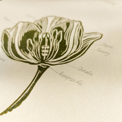 Vintage anatomy of a Tulip flower linocut print Wall art decor gift from aunt new mom gift new job gift New home gift new grandma gift new apartment housewarming gift new apartment gift nature print nature lover gift mothers day gift ideas mothers day gift from daughter mothers day gift mother in law gift mom birthday gift Modern kitchen art Mid century modern long distance gift living room wall art minimalist Living room wall art Linoleum print laundry room decor inscription Chateaucore