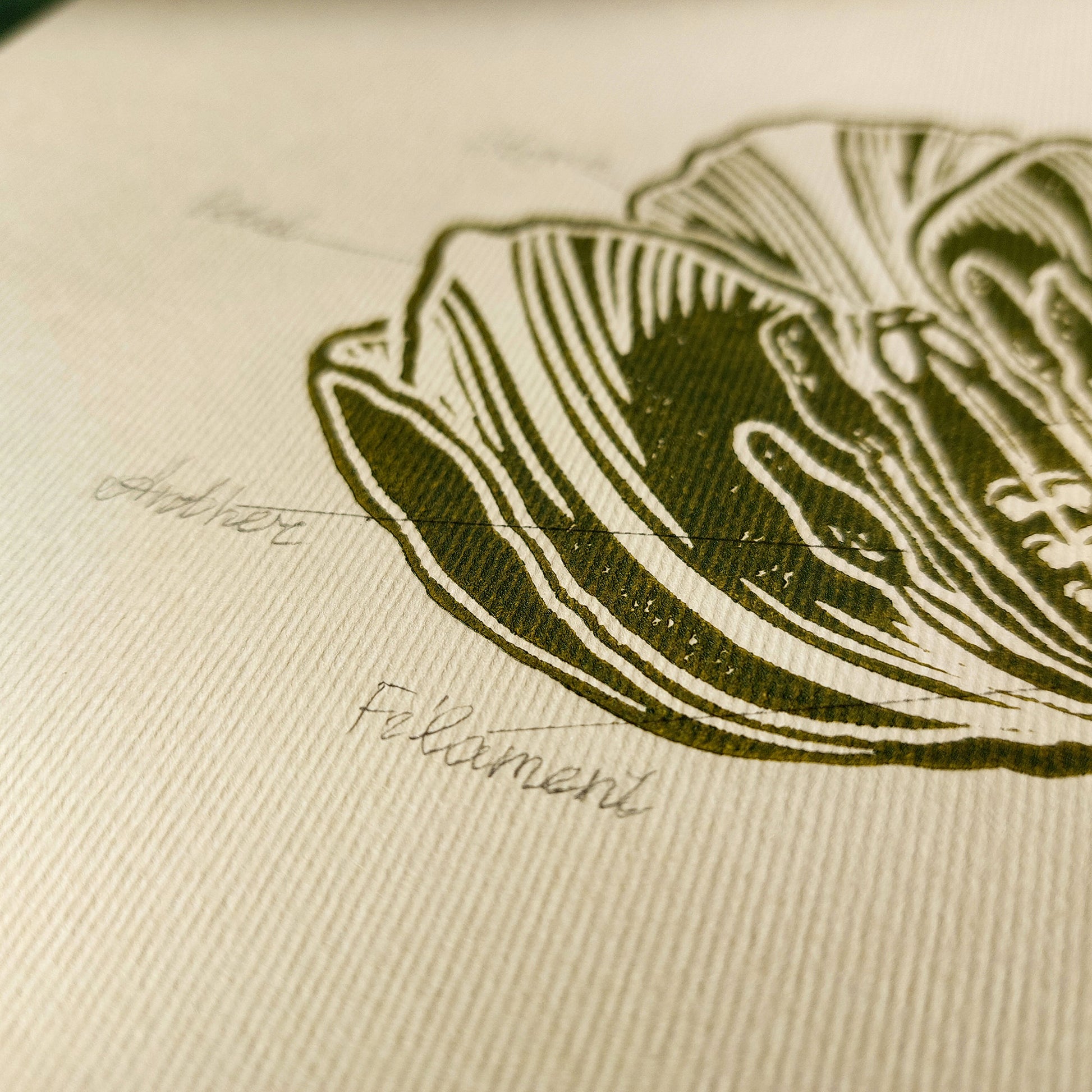 Vintage anatomy of a Tulip flower linocut print Wall art decor gift from aunt new mom gift new job gift New home gift new grandma gift new apartment housewarming gift new apartment gift nature print nature lover gift mothers day gift ideas mothers day gift from daughter mothers day gift mother in law gift mom birthday gift Modern kitchen art Mid century modern long distance gift living room wall art minimalist Living room Linoleum print laundry room decor inscription Housewarming hostess  Chateaucore
