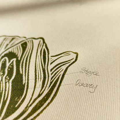 Vintage anatomy of a Tulip flower linocut print Wall art decor sign Chateaucore