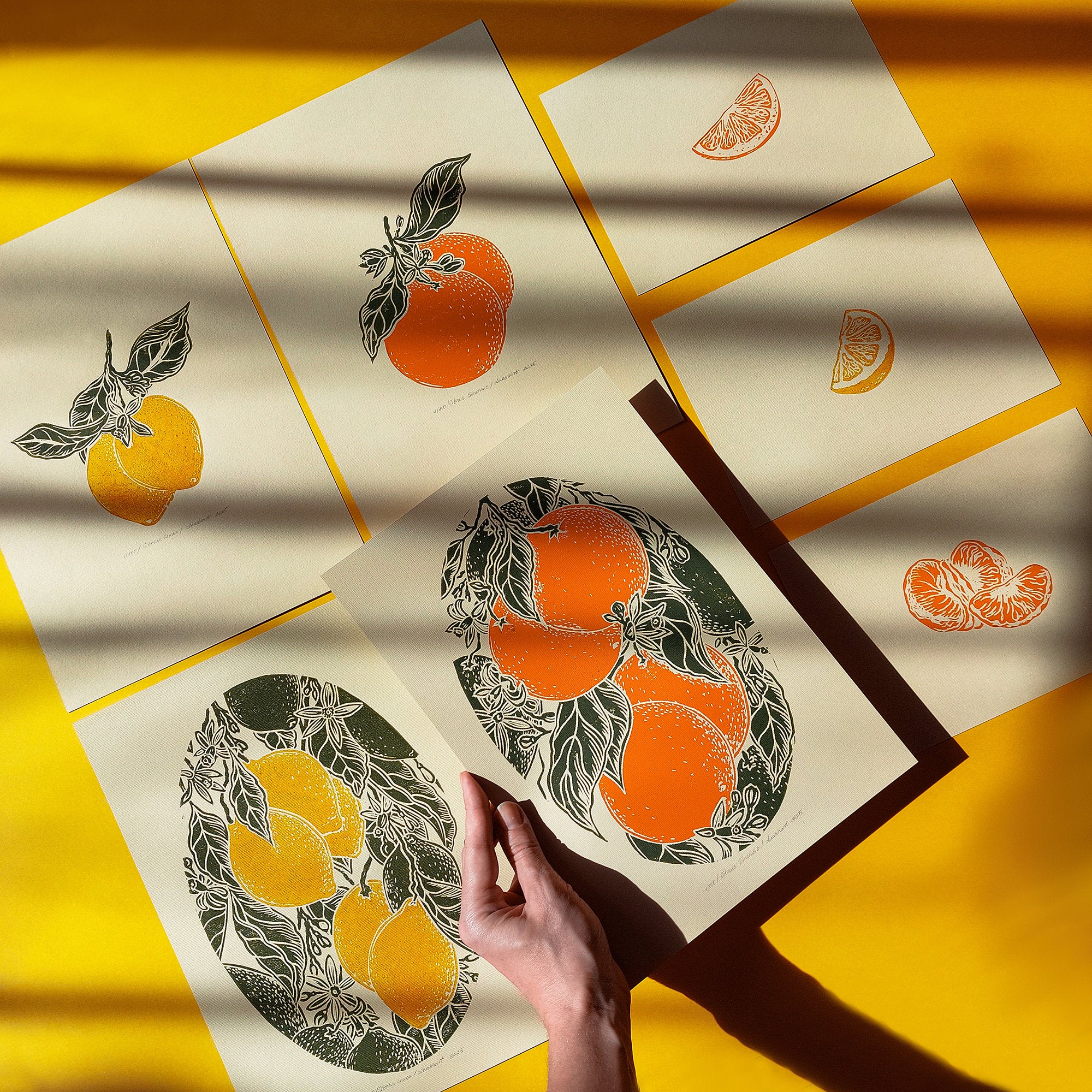 Linocut Shell Fruit «Fructus et Folia» - linocut prints with berries, fruits and vegetable ...