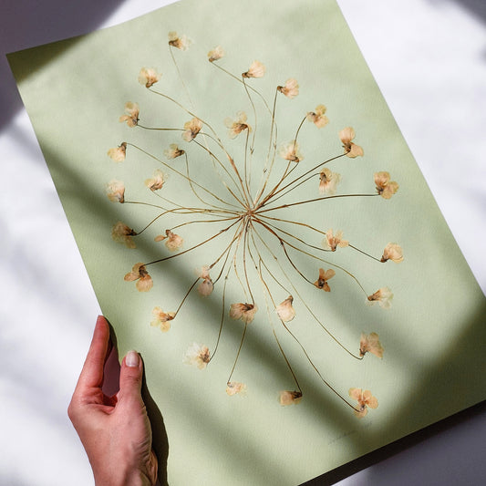 Neutral Lime Cream Paper and White Violet Dried Flowers wall hanging, unique wall art, trendy wall art, thank you gift boss, teacher appreciation gift, Summer wall art, Spring wall art, sister in law gift, shelf decor, self gift, rustic wall art, retirement gift, realtor closing gift, pressed plants art, pressed leaves art, Pressed flower art, Plant print, plant lover gift, original artwork, one of a kind, nurse gift, niece gift from aunt, new mom gift, new job gift, New home gift, new grandma gift, new