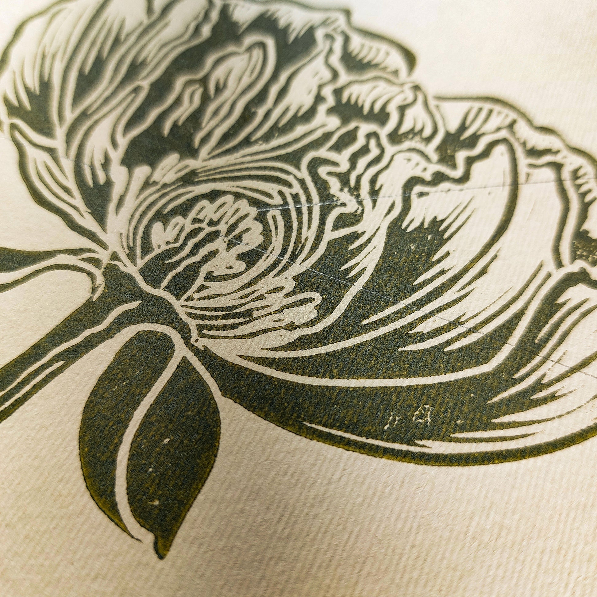 Vintage Anatomy Peony Flower Linocut Print Sage Green Botanical Original Artwork Chateaucore Bedroom Wall Art Decor Educational Nature Gift 
sister in law gift signature shelf decor self gift Sage green color rustic wall art Retro artwork retirement Relief print realtor closing gift Printmaking art plant lover gift original illustration original artwork one of a kind office wall decor nurse gift niece gift from aunt new mom gift new job gift New home gift new grandma gift new apartment housewarming gift new