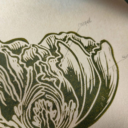 Vintage Anatomy Peony Flower Linocut Print Sage Green Botanical Original Artwork Chateaucore Bedroom Wall Art Decor Educational Nature Gift 
New home gift new grandma gift new apartment housewarming gift new apartment gift nature print nature lover gift mothers day gift ideas mothers day gift from daughter mothers day gift mother in law gift mom birthday gift Modern kitchen art Mid century modern long distance gift living room wall art minimalist Living room wall art Linoleum print laundry room decor 