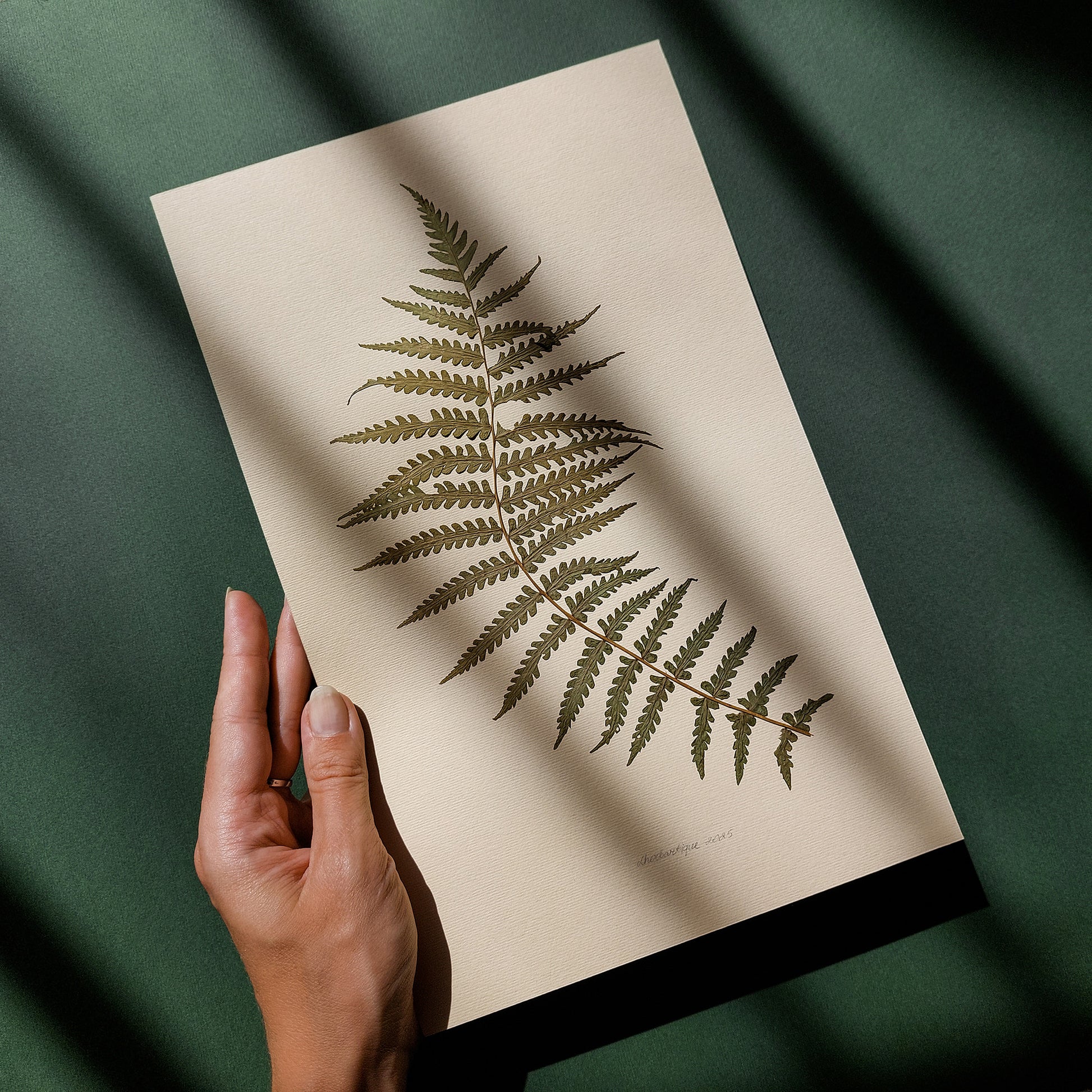 Minimalist Pressed Fern Leaf Plant Original Artwork Herbarium Living Room Foraged Wall Decor One of Kind Farm Thanksgiving Table Mother Gift dried 
plant lover gift, original artwork, one of a kind, nurse gift, christmas gift ideas, niece gift from aunt, new mom gift, handmade educational, new job gift, thoughtful teacher gift, Hostess Thank You Gift, New home gift, new grandma gift, Thoughtful Autumn Gift, new apartment housewarming gift