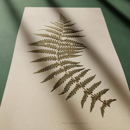 Minimalist Pressed Fern Leaf Plant Original Artwork Herbarium Living Room Foraged Wall Decor One of Kind Farm Thanksgiving Table Mother Gift dried
handmade gift for the home, grandmother gift, grandma gift, Autumn Entryway Decor, Thank You Gift going away gift for coworker, godparent gift, godmother gift, girlfriend gift, gift for the home, Warm Earth Tones Art, gift for best friend female