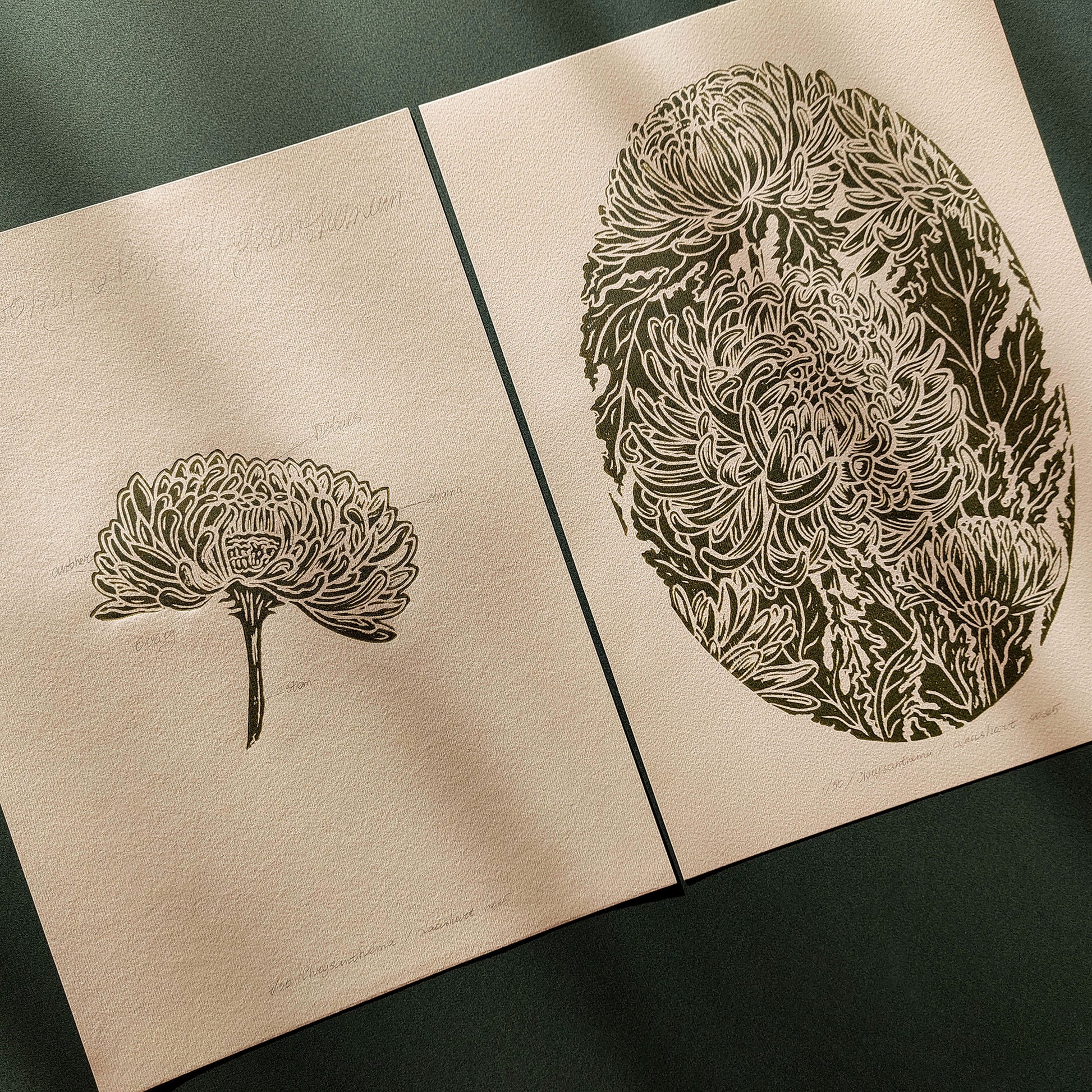 vintage flower art
anatomy flower
linocut print
gallery wall set
set of 2 print
cottagecore wall art
floral lino print
original artwork
modern kitchen art
hallway wall decor
mother gift ideas
chrysanthemum flower
rustic linogravure