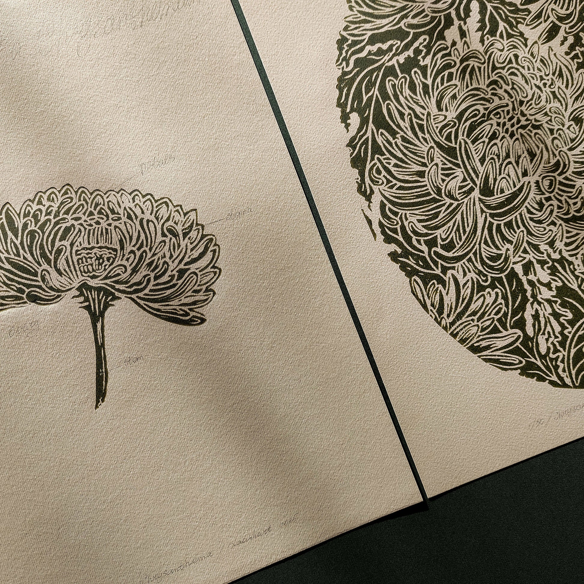 vintage flower art
anatomy flower
linocut print
gallery wall set
set of 2 print
cottagecore wall art
floral lino print
original artwork
modern kitchen art
hallway wall decor
mother gift ideas
chrysanthemum flower
rustic linogravure