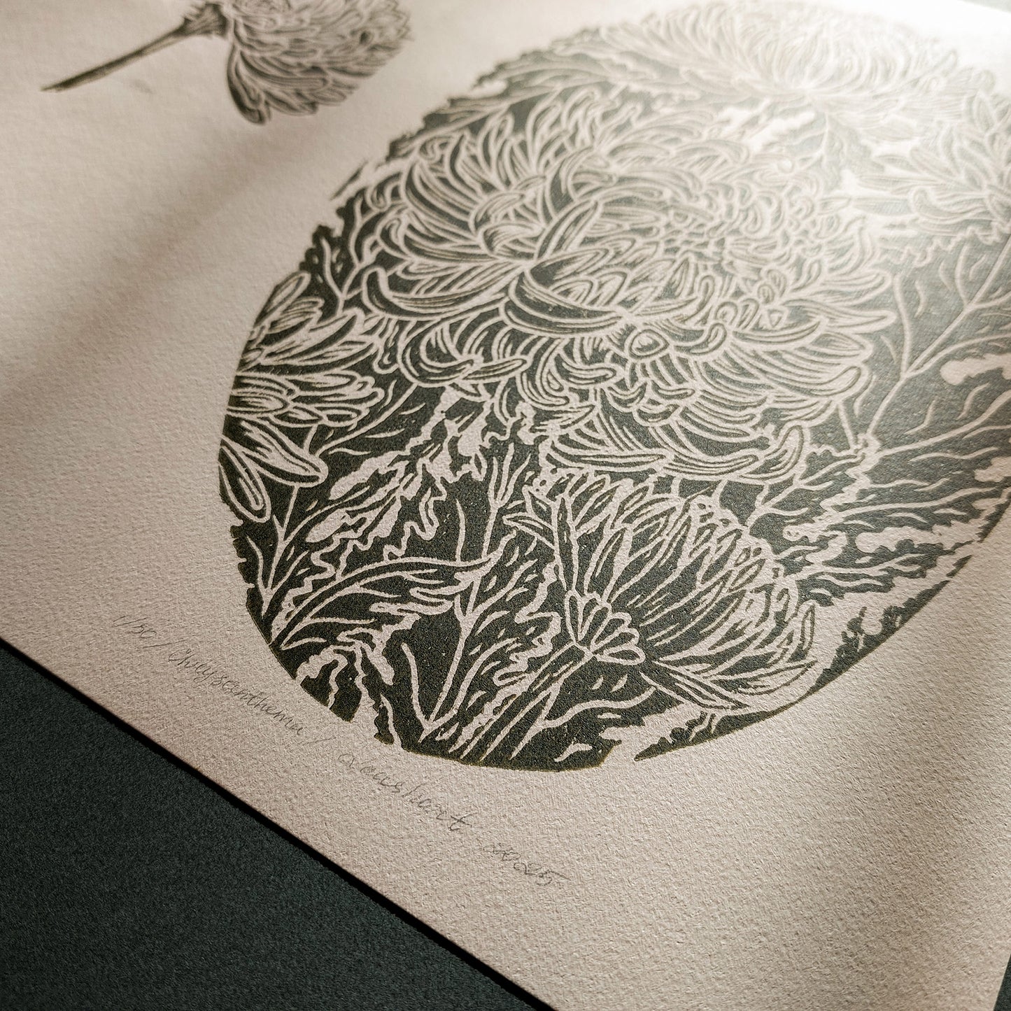 Vintage Anatomy Chrysanthemum Flowers Linocut Print Gallery Wall Set of 2 Cottagecore Floral Original Artwork Kitchen Art Decor Mother 
wall hanging Vintage art unique wall art trendy thank you gift boss teacher appreciation gift Summer Spring wall art sister in law gift signature shelf decor self gift Sage green color rustic wall art Retro artwork retirement Relief print realtor closing gift Printmaking art plant lover gift original illustration original artwork one of a kind office wall decor nurse gift 