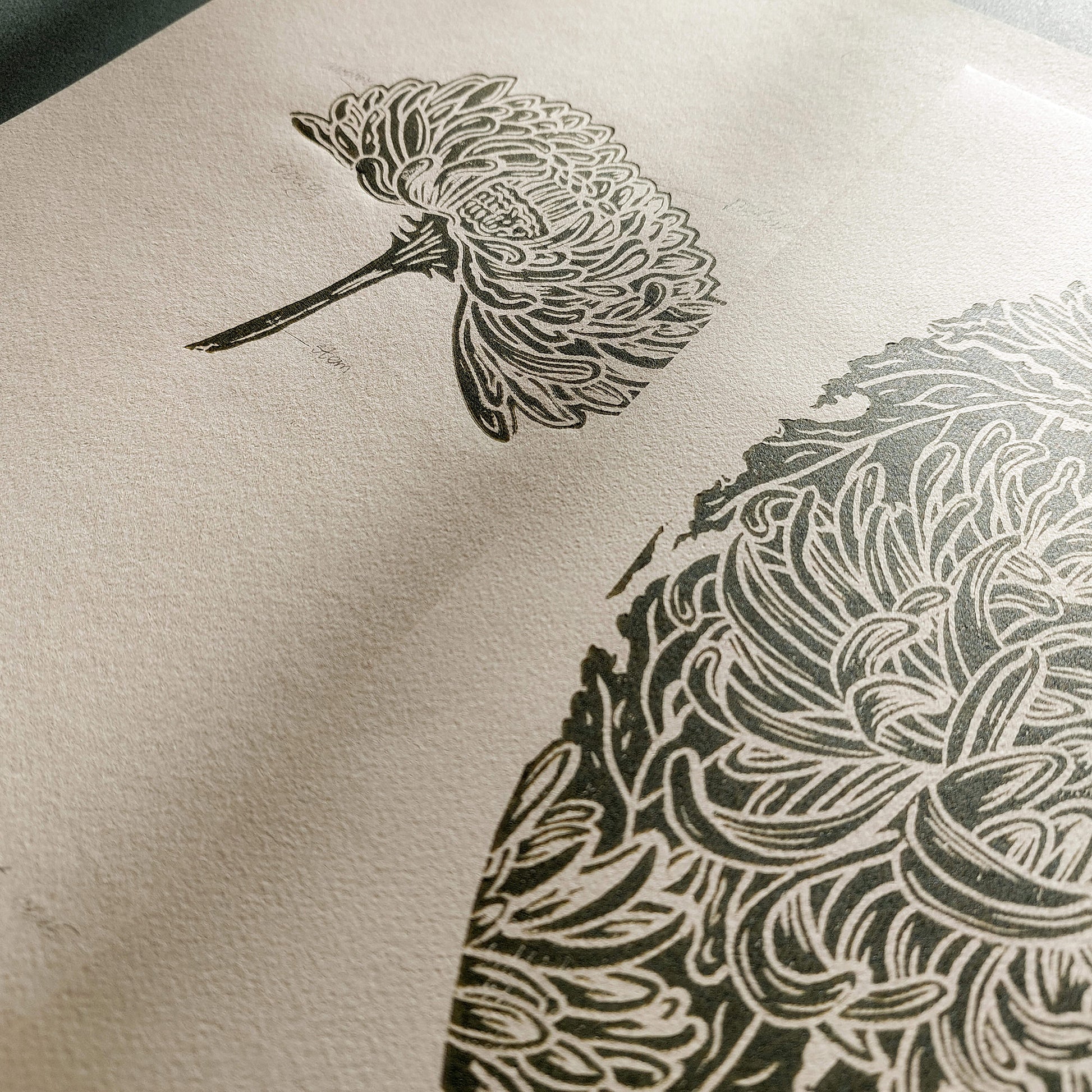 Vintage Anatomy Chrysanthemum Flowers Linocut Print Gallery Wall Set of 2 Cottagecore Floral Original Artwork Kitchen Art Decor Mother 
 Relief print realtor closing gift Printmaking art plant lover gift original illustration original artwork one of a kind office wall decor nurse gift niece gift from aunt new mom gift new job gift New home gift new grandma gift new apartment housewarming gift new apartment gift nature print nature lover gift mothers day gift ideas mothers day gift from daughter mothers day 