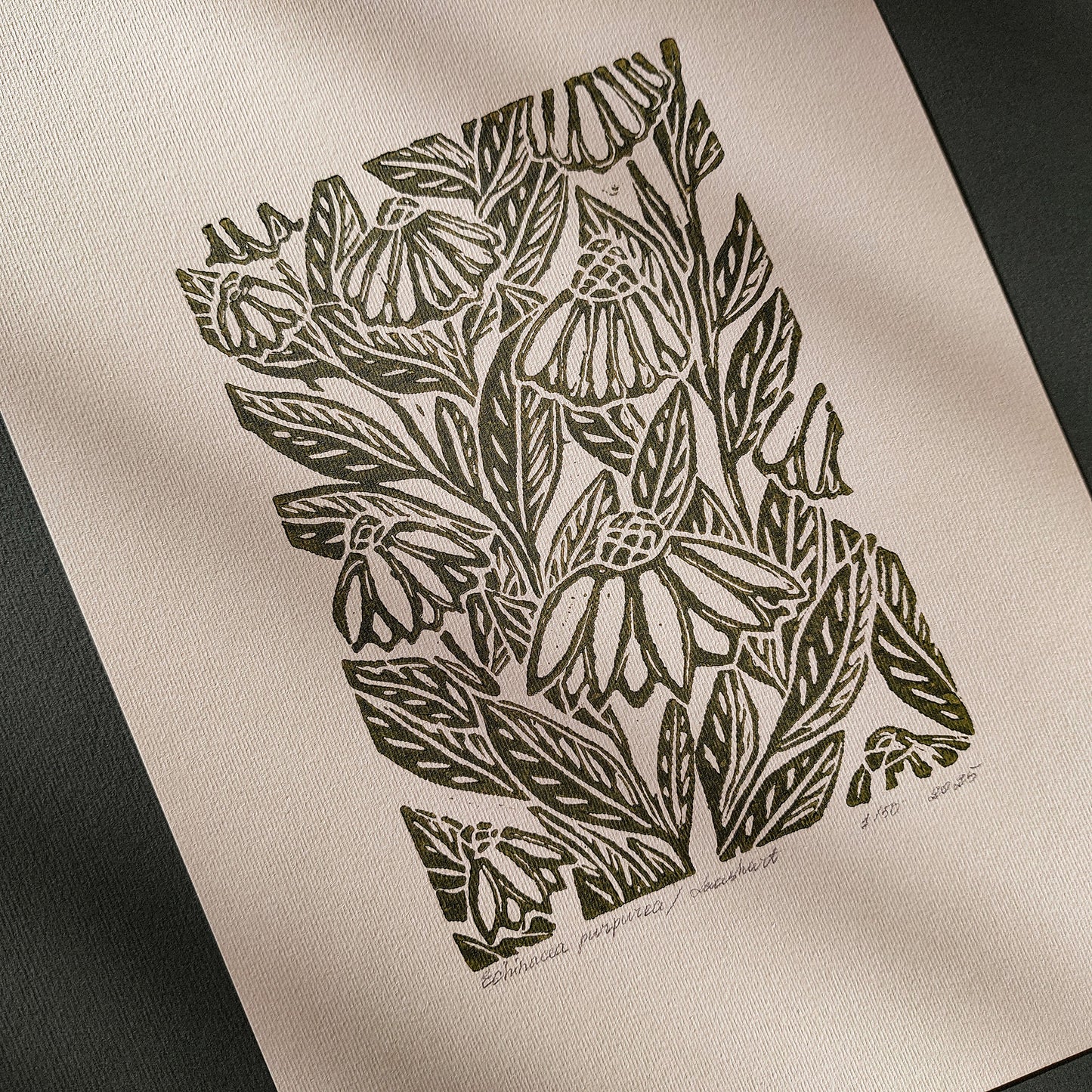 Beige coneflower art retro cottagecore echinacea flowers linocut print sage green color floral lino original artwork vintage linogravure vintage kitchen dining room decor
traditional printmaking art, New home gift, new grandma gift, staircase, above bed wall art, housewarming gift, artist studio wall decor, master bedroom decor, large farmhouse art, above dining table wall art, modern aesthetic, new apartment gift, nature print, handprint relief, staircase wall art, home workspace wall art, nature lover