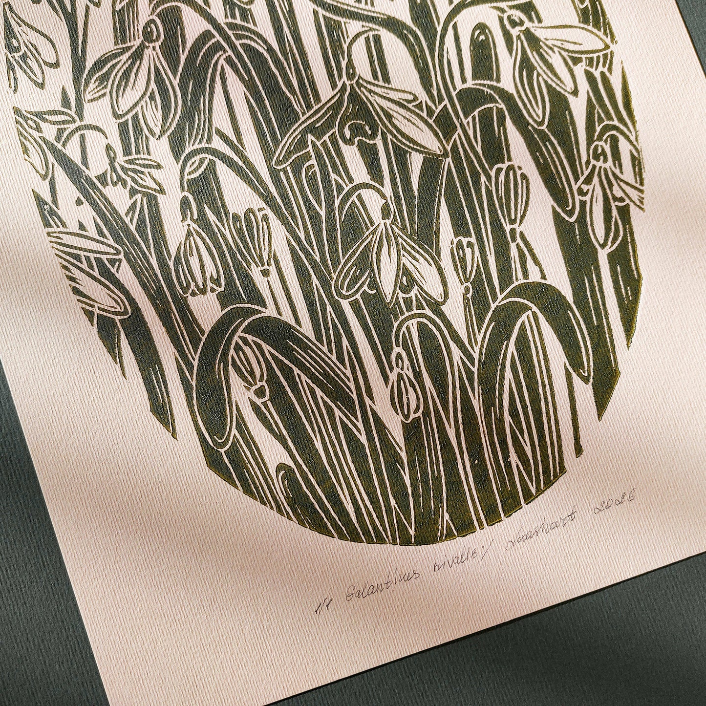 Vintage Snowdrops Flowers Linocut Print Floral Winter Original Artwork Decor Farm Primary Bedroom European Countryside Wall Art Mother Gift 
soft organic modern, poetic, etching style, headboard wall art, french vintage wall art, nordic fine, creative studio wall art, eastern european, Summer Spring wall art sister in law gift signature shelf decor self gift Sage green color rustic wall art Scientific, above dining table wall art, Antique vibe, plant anatomy, botanical diagram, natural history