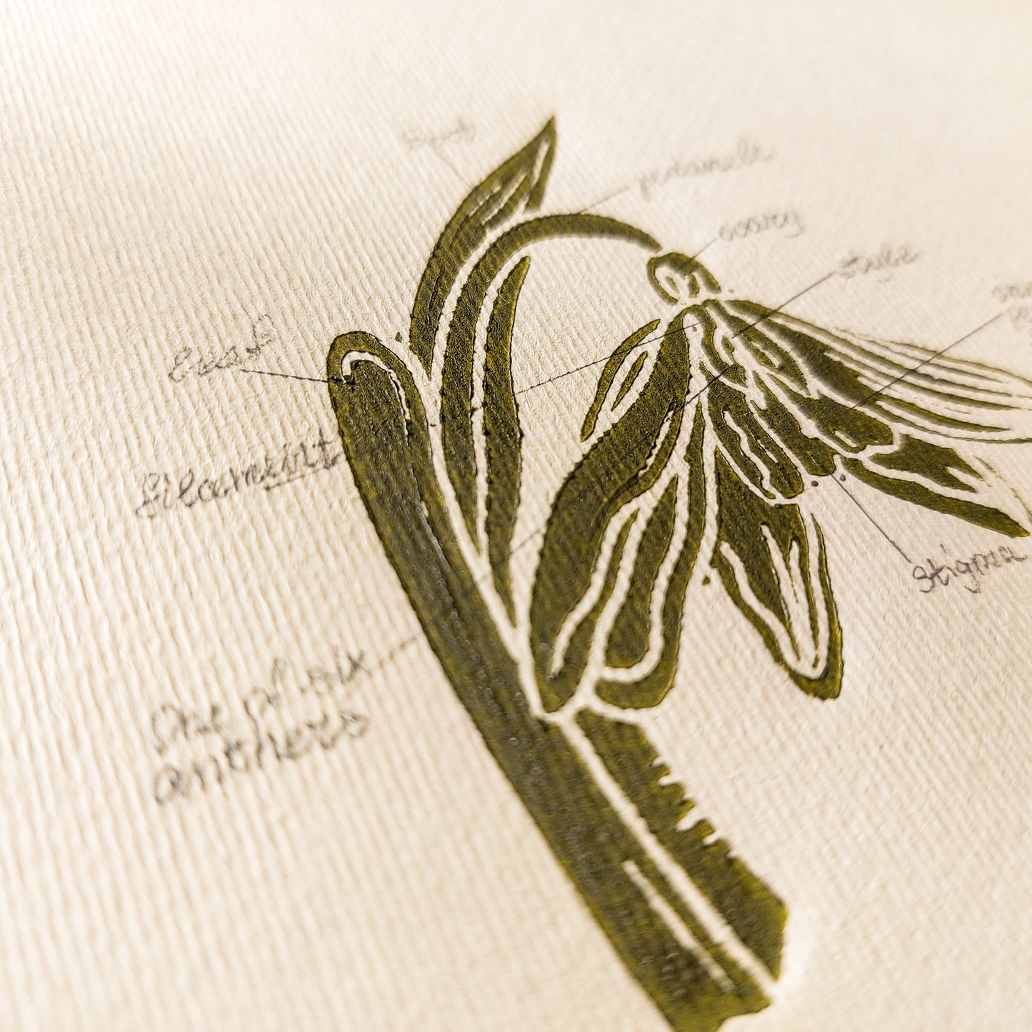 Vintage Anatomy Snowdrop Flower Linocut Print Original Wall Art Chateaucore Relief Handprint Quiet Luxury Study Decor Nature Mom Lover 
still life, study room wall art, hearth and home, gallery wall hallway, Modern kitchen art Mid century modern long distance gift living room wall art minimalist Living room wall art Linoleum print laundry room decor inscription above bed wall art, pantry wall decor, Housewarming gift hostess gift home gift unique heirloom gift heilroom wall decor handmade gift for women