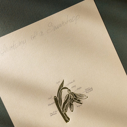 Vintage Anatomy Snowdrop Flower Linocut Print Original Wall Art Chateaucore Relief Handprint Quiet Luxury Study Decor Nature Mom Lover
european countryside wall art, soft organic modern, poetic, etching style, headboard wall art, french vintage wall art, nordic fine, creative studio wall art, eastern european, Summer Spring wall art sister in law gift signature shelf decor self gift Sage green color rustic wall art Scientific, above dining table wall art, Antique vibe, plant anatomy
