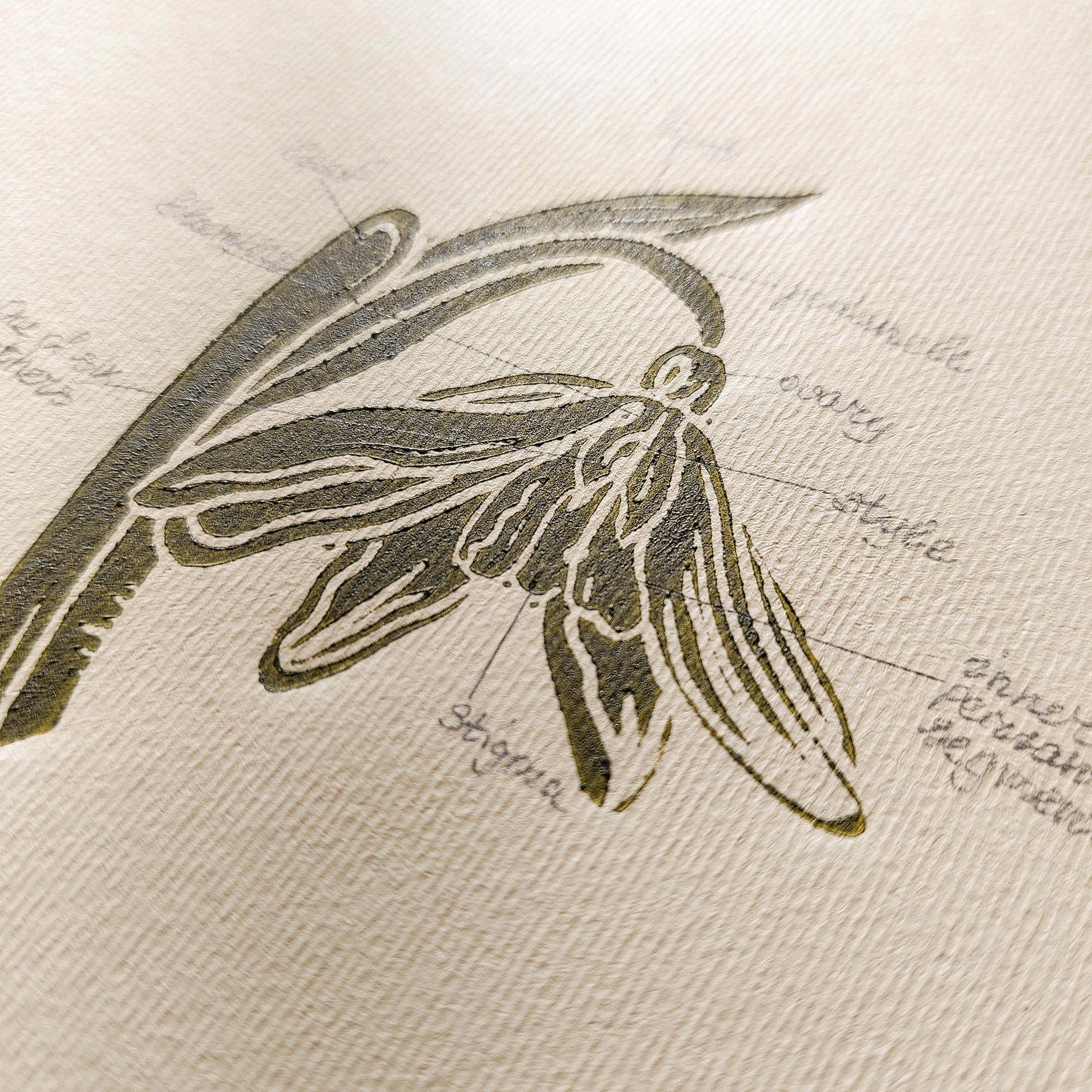 Gallery Wall Set 2 Vintage Anatomy Snowdrop Flowers Linocut Print Original Herb Botanical Artwork Bedroom Focal Point Art Decor Mother Gift
mother in law gift mom birthday gift DOMESTIC POETRY, window nook decor, old european, eat in kitchen wall art, domestic still life, study room wall art, hearth and home, gallery wall hallway, Modern kitchen art Mid century modern long distance gift living room wall art minimalist Living room wall art Linoleum print laundry room decor inscription above bed wall art