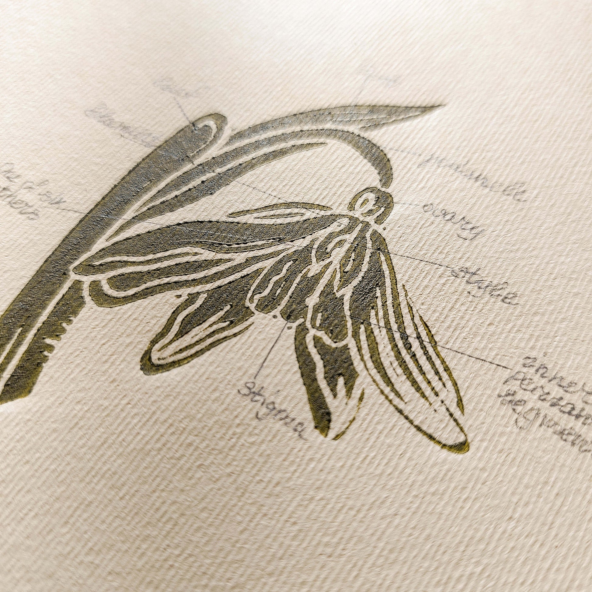 Vintage Anatomy Snowdrop Flower Linocut Print Original Wall Art Chateaucore Relief Handprint Quiet Luxury Study Decor Nature Mom Lover Gift
 apartment moody, quiet luxury, soft neutral, slow living, romantic vintage wall art, EUROPEAN SOUL, french countryside, scandinavian, nordic nature, housewarming gift new apartment gift nature print nature lover gift mothers day gift ideas mothers day gift from daughter workspace wall decor, mothers day gift forestcore wall art, woodland botanical print, herbalism