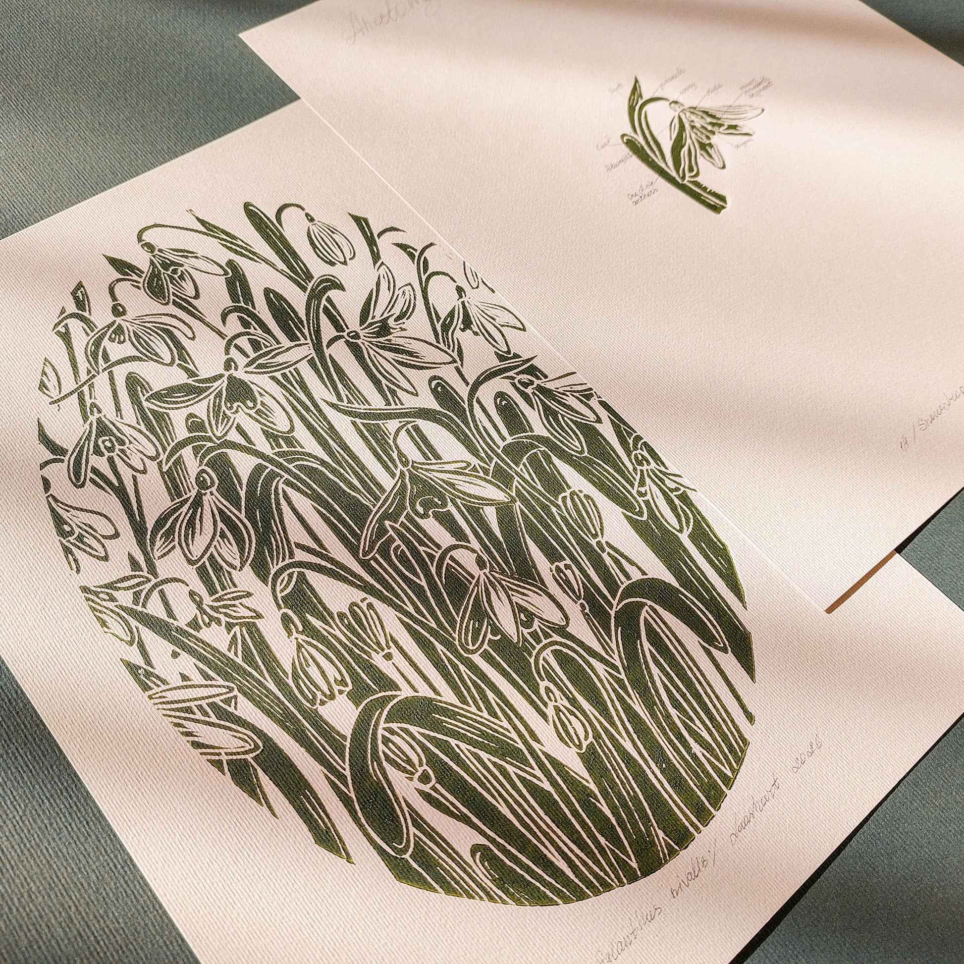 Sage green and beige gallery wall set of 2 peace vintage anatomy snowdrop flowers retro linocut print original artwork herb botanical art primary bedroom focal point staircase mother gift ideas floral lino rustic linogravure relief handprint cottagecore living hostess gift chateaucore farmhouse mother grandmother for professor home office workspace handmade nature lover rustic farm room dining entryway kitchen dorm mom wife woman sister girlfriend godmother apartment Present Gratitude Professor