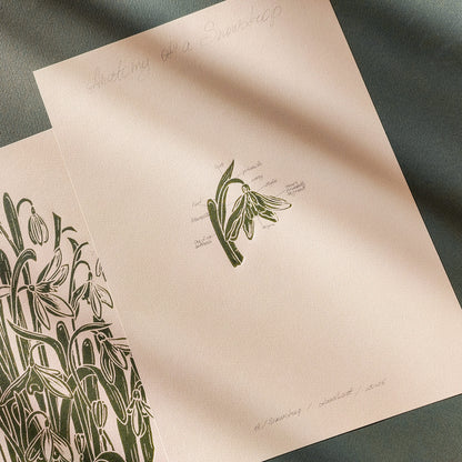 Gallery Wall Set 2 Vintage Anatomy Snowdrop Flowers Linocut Print Original Herb Botanical Artwork Bedroom Focal Point Art Decor Mother Gift
 dorm room decor diy gift Dining Room Decor daughter in law gift cottagecore wall art cottage core Botanical &nbsp;bookshelf decor Block print Beige color Bedroom wall art bathroom print aunt gift anatomy of flowers Aesthetic wall art yoga space wall decor, A4 chateaucore 