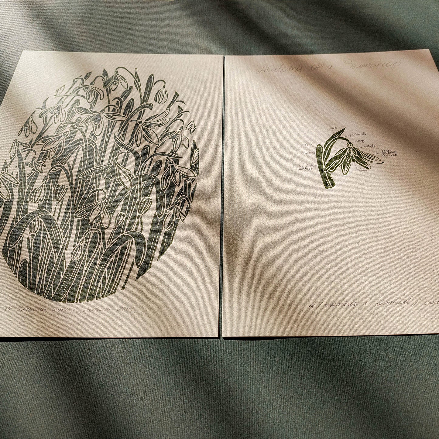 Gallery Wall Set 2 Vintage Anatomy Snowdrop Flowers Linocut Print Original Herb Botanical Artwork Bedroom Focal Point Art Decor Mother Gift
 Spring wall art sister in law gift signature shelf decor self gift Sage green color rustic wall art Scientific, above dining table wall art, Antique vibe, plant anatomy, botanical diagram, natural history, vintage science, Retro artwork retirement Relief print realtor closing gift foyer wall art, Printmaking art plant lover gift original illustration original artwork