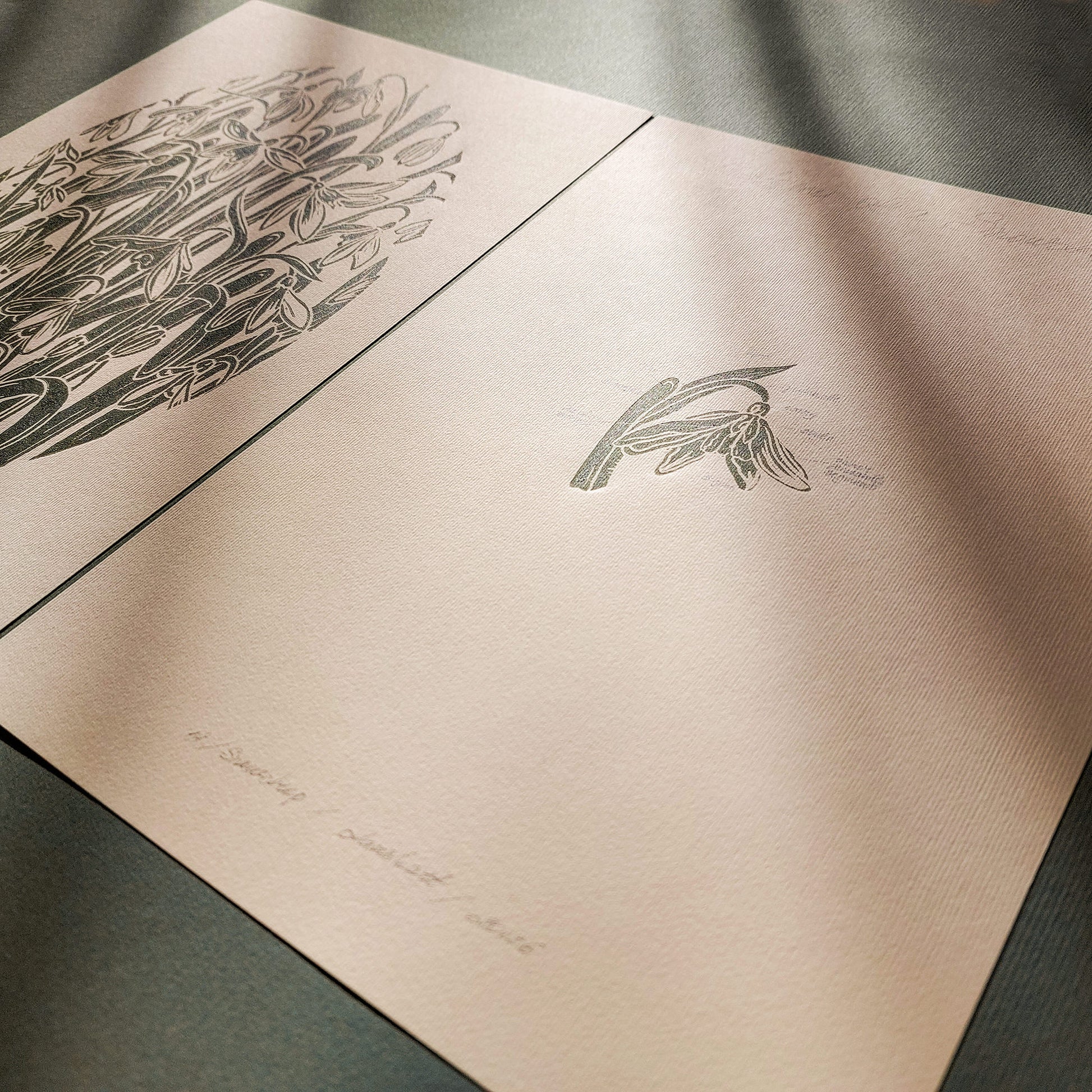 Gallery Wall Set 2 Vintage Anatomy Snowdrop Flowers Linocut Print Original Herb Botanical Artwork Bedroom Focal Point Art Decor Mother Gift
 Linogravure Lino print flower wall hanging reading nook wall art, Vintage art unique wall art trendy thank you gift boss teacher appreciation gift english cottage, country cottage wall decor european countryside wall art, soft organic modern, poetic, etching style, headboard wall art, french vintage wall art, nordic fine, creative studio wall art, eastern european