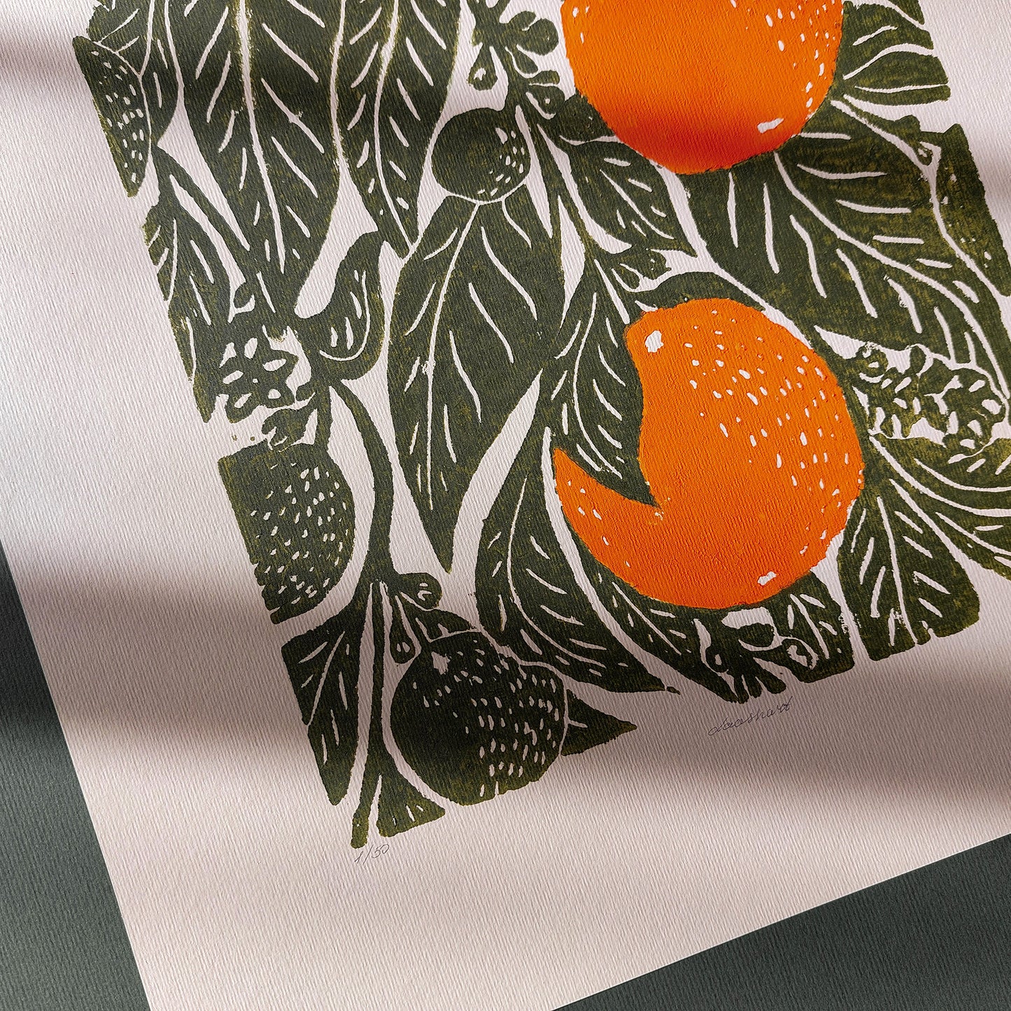 Retro Oranges Citrus Fruit Large Linocut Print Beige Sage Green Cottagecore Kitchen Dining Decor Botanical Wall Art Original Artwork Farm English Cottage
farm kitchen wall art, farm decor, scandinavian, laundry, workspace, european countryside, easter gift, engraving style, dorm room decor, country cottage, diy gift, Dining Room Decor, foyer wall art, Dining room art, daughter in law gift, folk inspired, cottagecore wall art, cottage core, citrus wall art prints, Botanical wall art, Botanical print