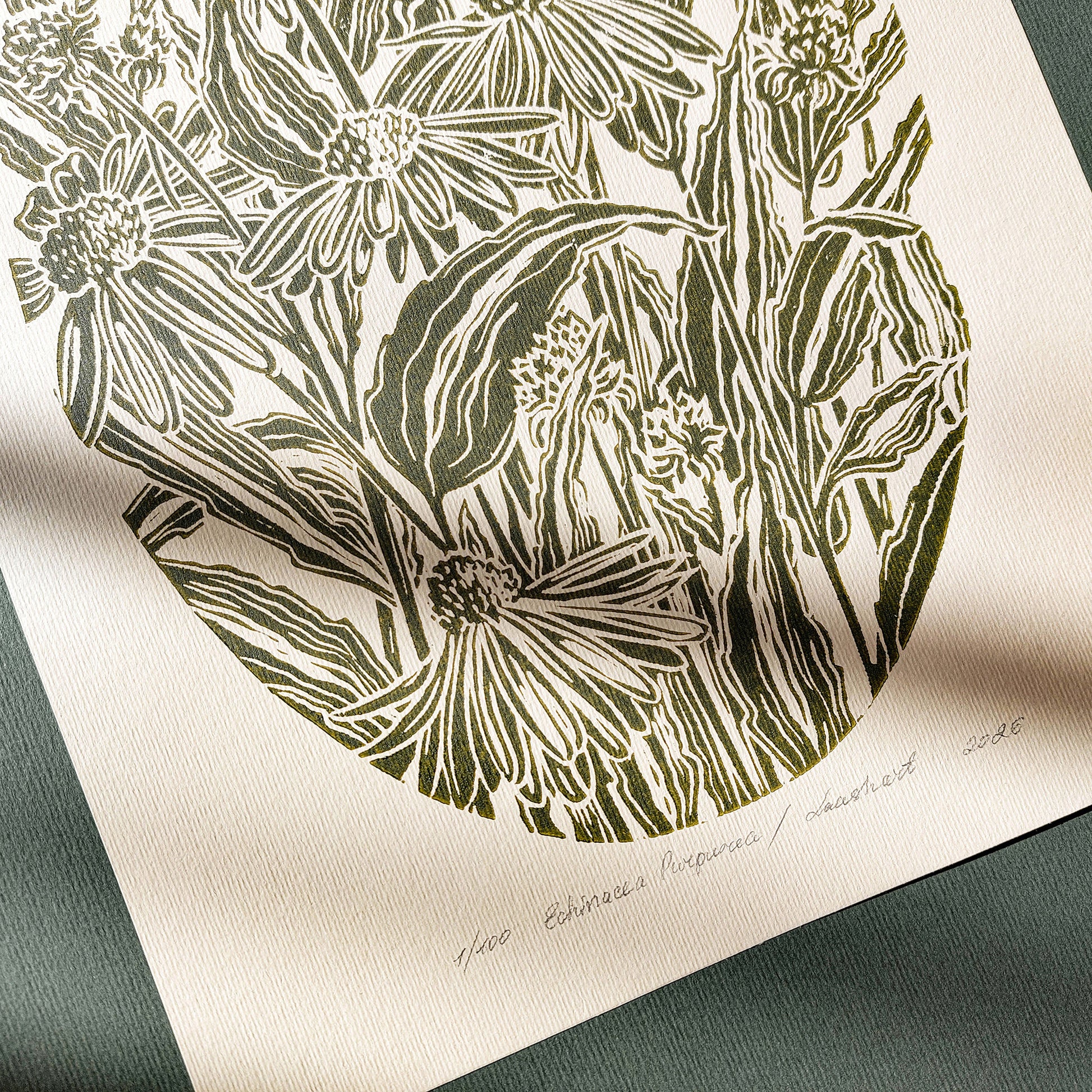 gallery wall set of 2 piece vintage anatomy echinacea purpurea flowers retro linocut print original artwork poison botanical master bedroom window nook decor sister gift floral lino rustic linogravure Sage green monochrome herb botanical staircase mother romantic vintage focal point relief handprint cottagecore living hostess farmhouse mother grandmother professor home office workspace handmade nature lover farm room dining entryway kitchen dorm mom wife woman girlfriend godmother apartment