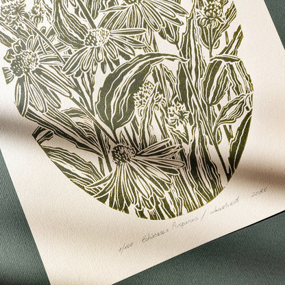gallery wall set of 2 piece vintage anatomy echinacea purpurea flowers retro linocut print original artwork poison botanical master bedroom window nook decor sister gift floral lino rustic linogravure Sage green monochrome herb botanical staircase mother romantic vintage focal point relief handprint cottagecore living hostess farmhouse mother grandmother professor home office workspace handmade nature lover farm room dining entryway kitchen dorm mom wife woman girlfriend godmother apartment