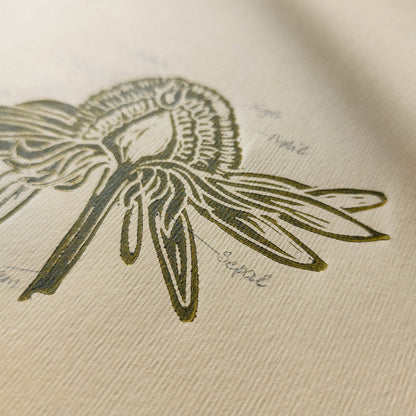 gallery wall set of 2 piece vintage anatomy echinacea purpurea flowers retro linocut print original artwork poison botanical master bedroom window nook decor sister gift floral lino rustic linogravure Sage green monochrome herb botanical staircase mother romantic vintage focal point relief handprint cottagecore living hostess farmhouse mother grandmother professor home office workspace handmade nature lover farm room dining entryway kitchen dorm mom wife woman girlfriend godmother apartment