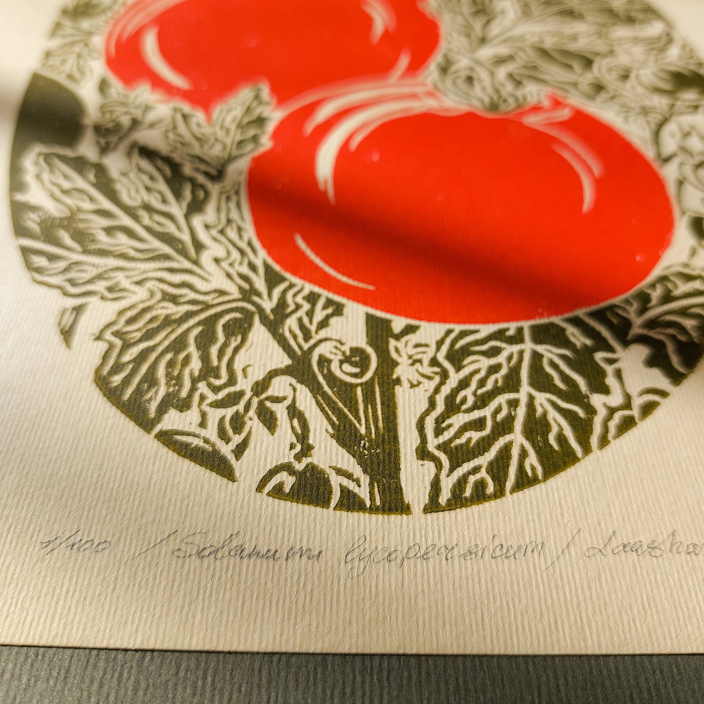 Red sage green beige vintage cottagecore tomato vegetable rustic linocut print retro kitchen dning room decor botanical lino garden harvest pantry original artwork gift for cook mom present nature linogravure farm
artist studio, foraged wall art, half bath wall art, gallery wall hallway, Floral wall art, traditional printmaking, Farmhouse wall decor, antique botanical print, Farmhouse wall art, staircase, bedside wall decor, farm kitchen wall art, farm decor, scandinavian, laundry, workspace, european 