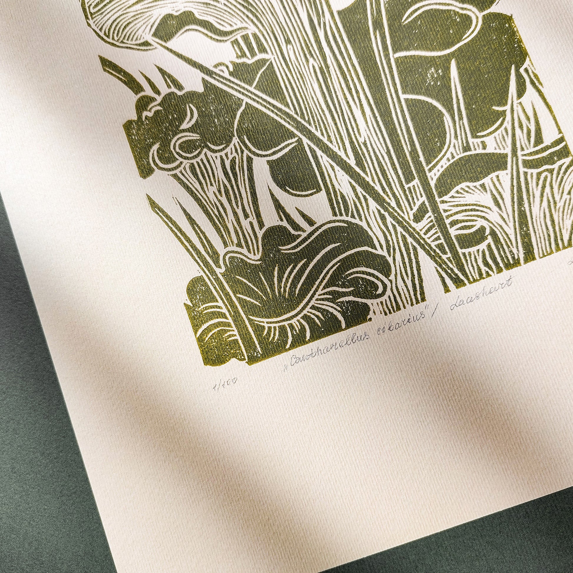 retro cottagecore chanterelle cushroom linocut print sage green color relief monoprint original artwork vintage kitchen pantry decor mother gift ideas whimsical wall art rustic linogravure forestcore lino
home gift unique, heirloom gift, heilroom wall decor, window nook art, study room wall art, handmade gift for women, table art, handmade gift for the home, farm entryway art, coffee corner decor, bedside, grandmother gift, grandma gift, going away gift for coworker, relief print, godparent gift, godmother