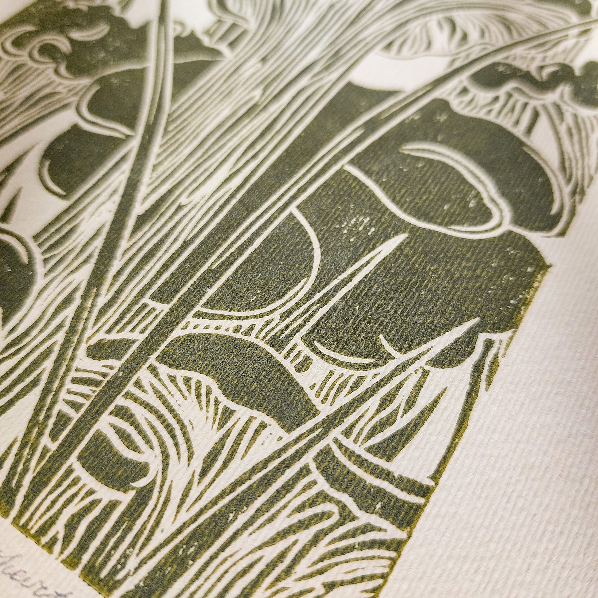 retro cottagecore chanterelle cushroom linocut print sage green color relief monoprint original artwork vintage kitchen pantry decor mother gift ideas whimsical wall art rustic linogravure forestcore lino forestcore decor beige master bedroom hallway hostess gift living space guest farmhouse dining room one of a kind engraving above bed reading nook grandmother gift self handprint home office sister botanical hallway printmaking farm sister mom mother godmother wife woman Earth Tones