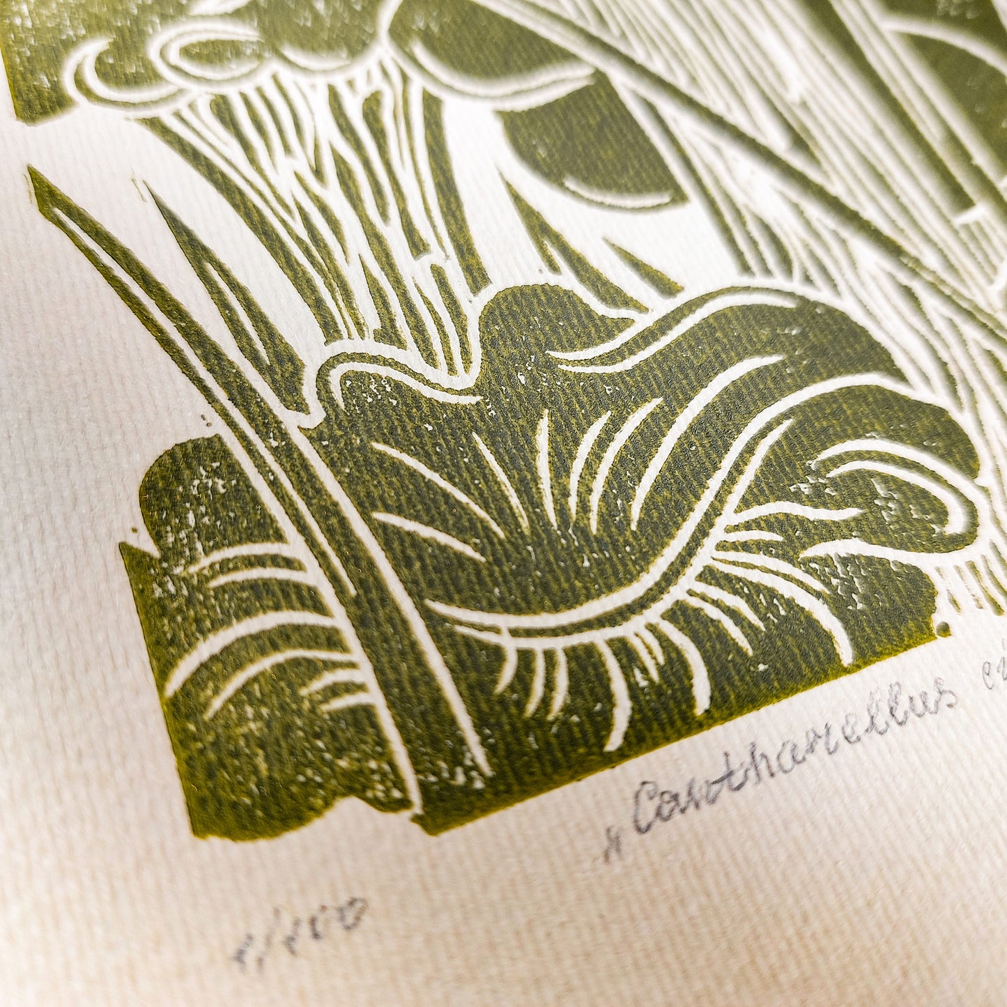 retro cottagecore chanterelle cushroom linocut print sage green color relief monoprint original artwork vintage kitchen pantry decor mother gift ideas whimsical wall art rustic linogravure forestcore lino forestcore decor beige master bedroom hallway hostess gift living space guest farmhouse dining room one of a kind engraving above bed reading nook grandmother gift self handprint home office sister botanical hallway printmaking farm sister mom mother godmother wife woman Earth Tones