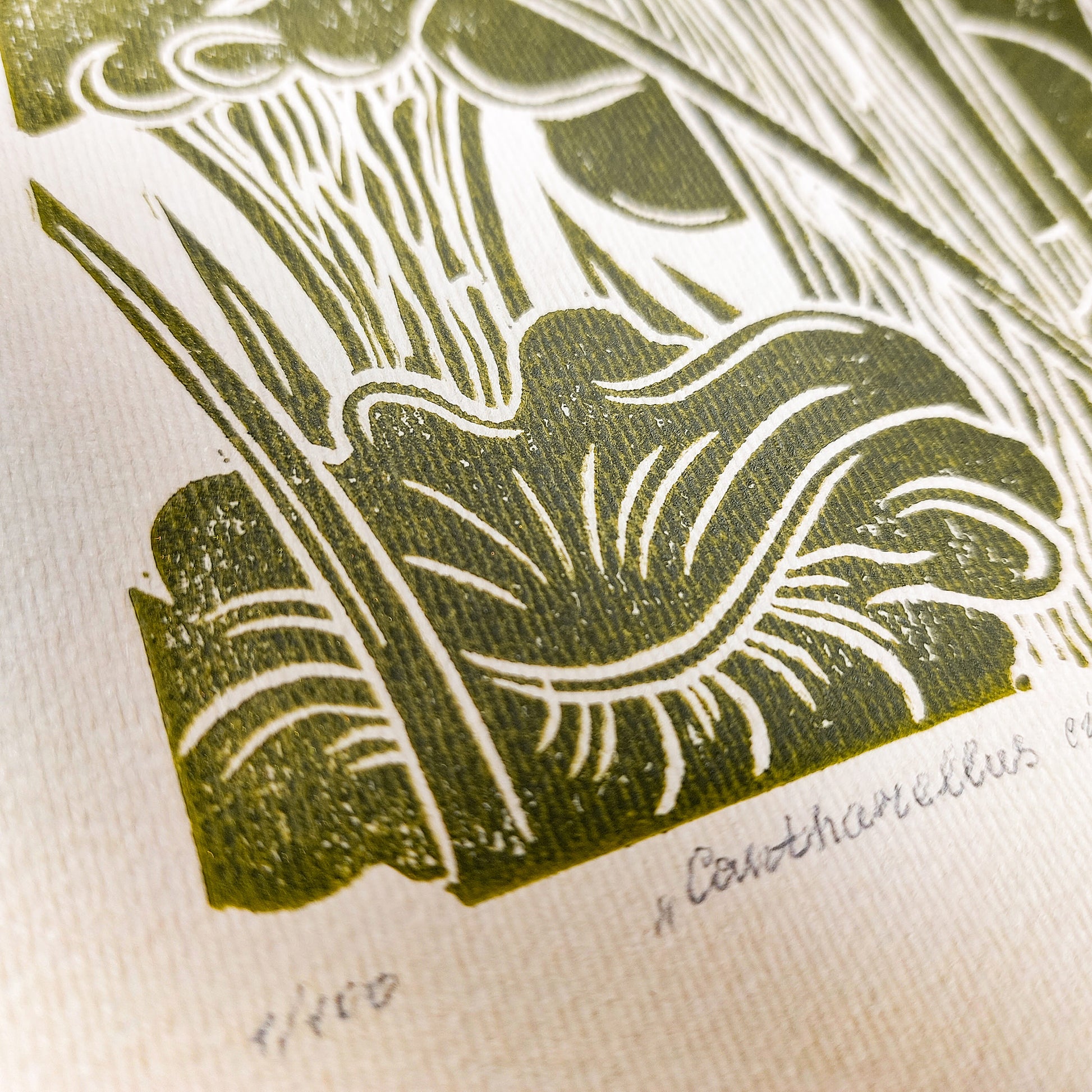retro cottagecore chanterelle cushroom linocut print sage green color relief monoprint original artwork vintage kitchen pantry decor mother gift ideas whimsical wall art rustic linogravure forestcore lino forestcore decor beige master bedroom hallway hostess gift living space guest farmhouse dining room one of a kind engraving above bed reading nook grandmother gift self handprint home office sister botanical hallway printmaking farm sister mom mother godmother wife woman Earth Tones