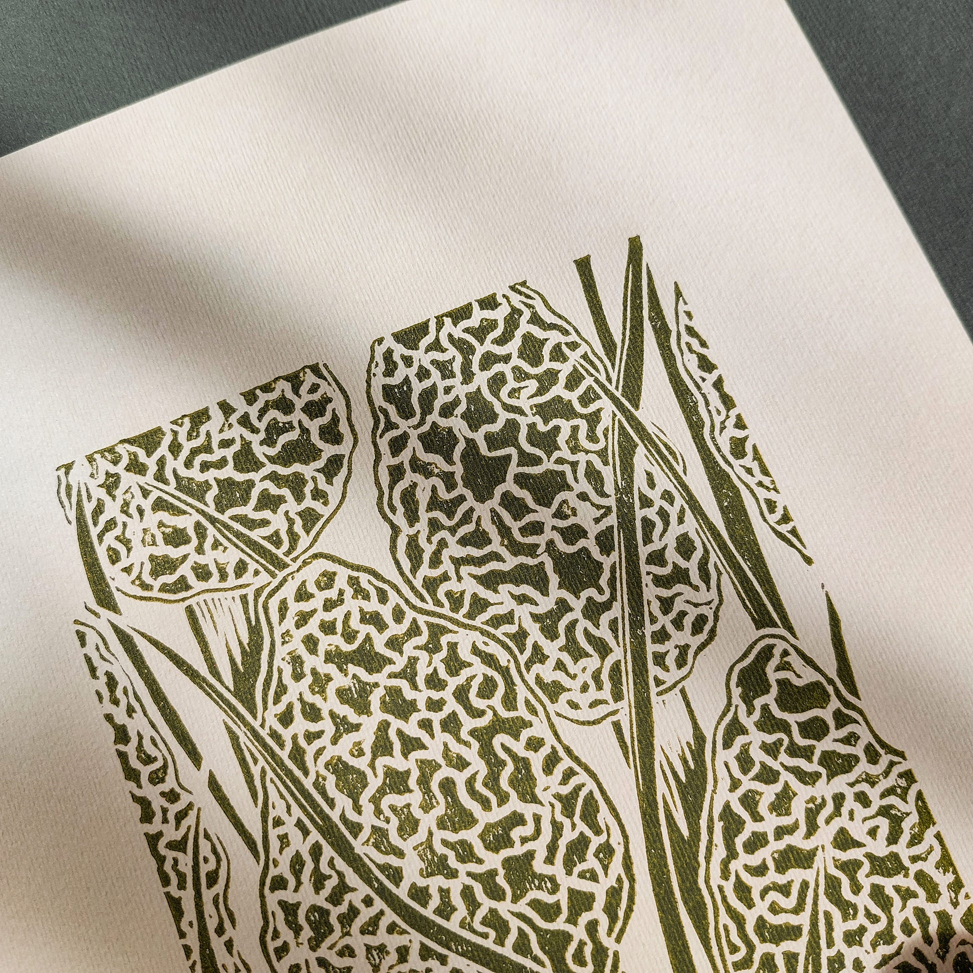 Beige retro cottagecore morel mushroom linocut print forestcore lino sage green color true morels relief monoprint original artwork vintage kitchen english cottage dining wall decor mother gift ideas rustic linogravure master bedroom hallway hostess gift whimsical living space guest farmhouse one of a kind engraving above bed reading nook grandmother gift self handprint home office sister botanical printmaking farm sister mom godmother wife woman Entryway Earth Tones housewarming staircase