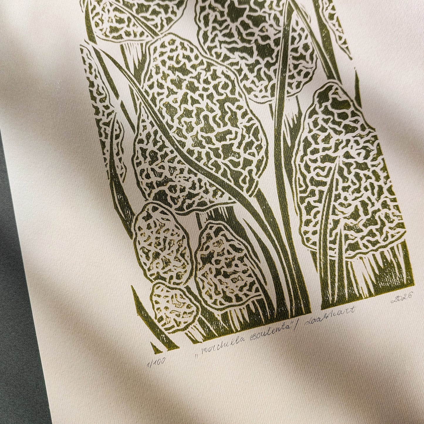 Beige retro cottagecore morel mushroom linocut print forestcore lino sage green color true morels relief monoprint original artwork vintage kitchen english cottage dining wall decor mother gift ideas rustic linogravure
Housewarming gift, retro dining area, hostess gift, primary bedroom art, home gift unique, heirloom gift, heilroom wall decor, window nook art, study room wall art, handmade gift for women, table art, handmade gift for the home, farm entryway art, coffee corner decor, bedside, grandmother