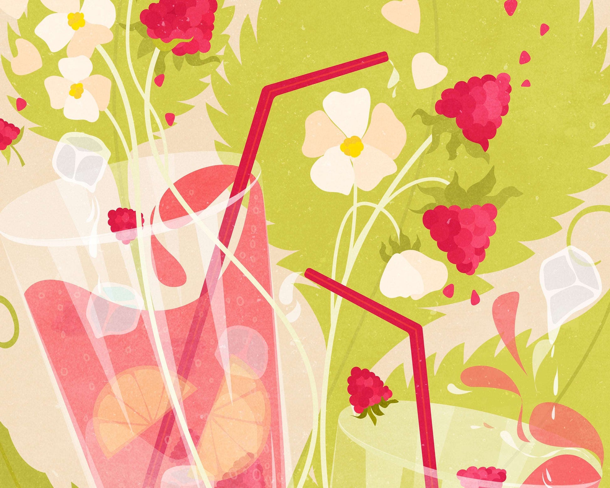 Details pink and green Botanical vintage raspberry lemonade poster