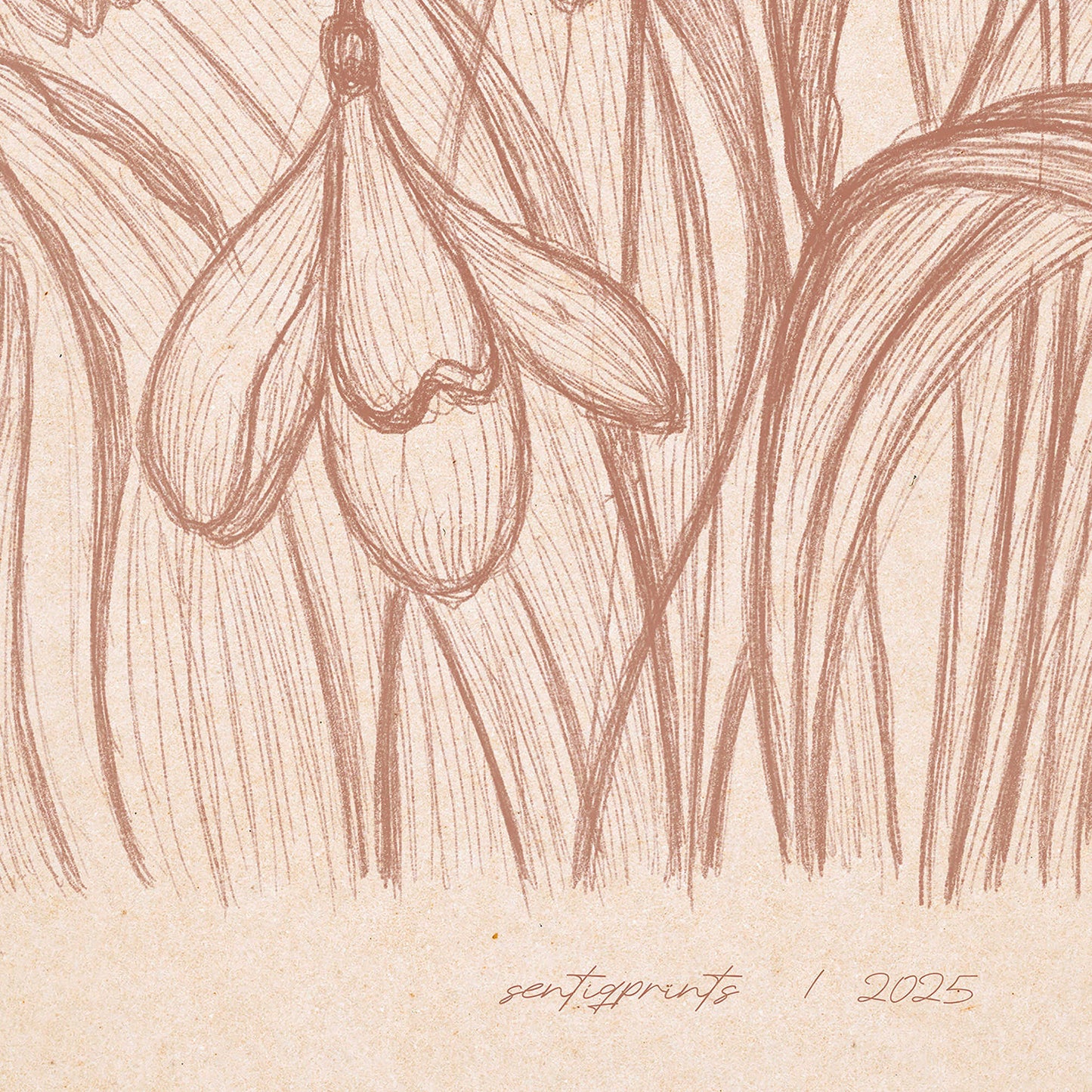 vintage sketch
mocha mousse color
snowdrop flowers
spring wall art
floral prints
printable wall art
cottagecore wall art
lines art
bedroom wall decor
digital download
hand drawn prints
farmhouse wall decor