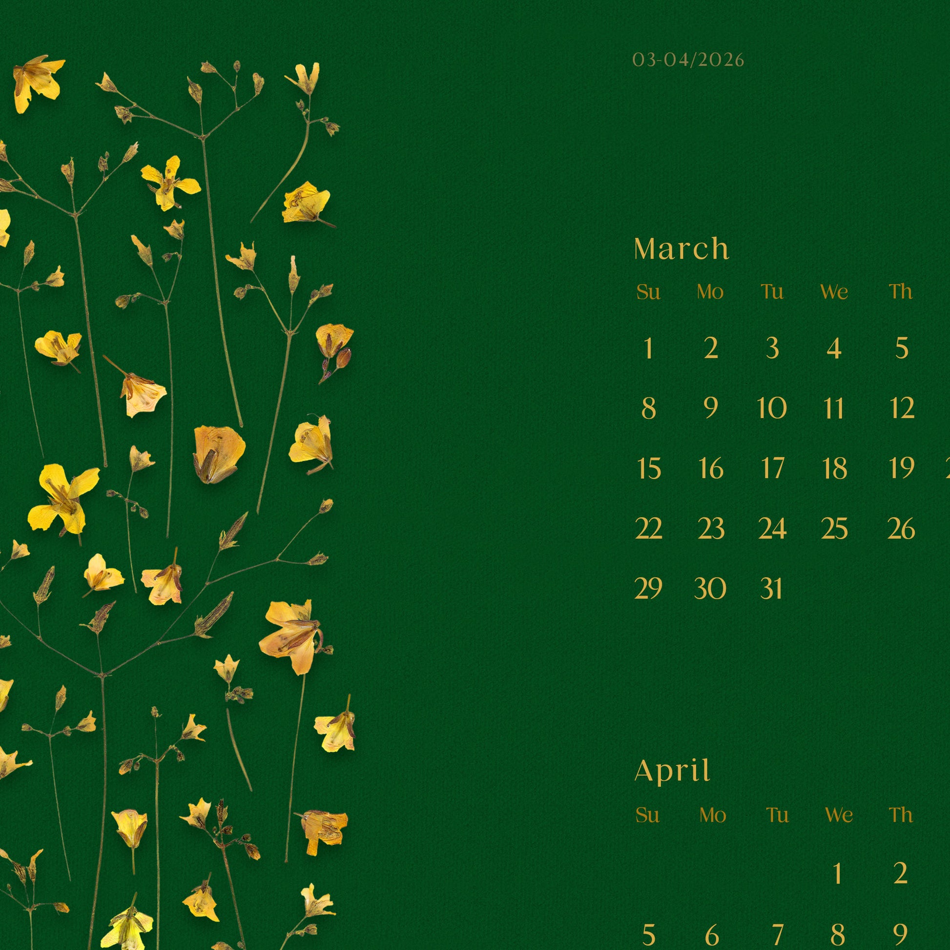 2026 wall printable illustrated calendar
pressed flower art dried wildflowers plant lover horizontal 11x17in herbarium prints nature lover new year gift ideas grandmother gift instant download 