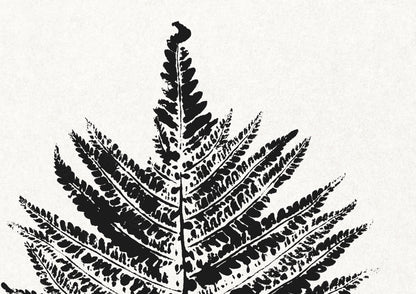 Black vintage farm fern plant Monotype prints Printable wall art Botanical minimalist poster Farmhouse foraged wall decor INSTANT DOWNLOAD Bedroom Living room Kitchen Office home workspace Housewarming New home first gift Foraged cottagecore large rustic