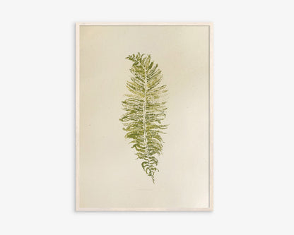 Sage green fern large relief Plant monotype print Original artwork Foraged wall art decor printmaking for Nature lover gift One of a kind Farm farmhouse nature lover Bedroom Office Home workspace Kitchen Dining room Rustic Living room