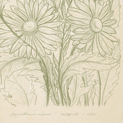 Antique hand drawn Daisy flowers Printable wall art Digital poster digital product, new mom gift, new job gift, digital poster, New home gift, new grandma gift, new apartment housewarming gift, new apartment gift, nature wall ar, nature lover gift, mothers day gift ideas, mothers day gift from daughter, mothers day gift, mother in law gift, mom birthday gift, Modern kitchen art, long distance gift, living room 