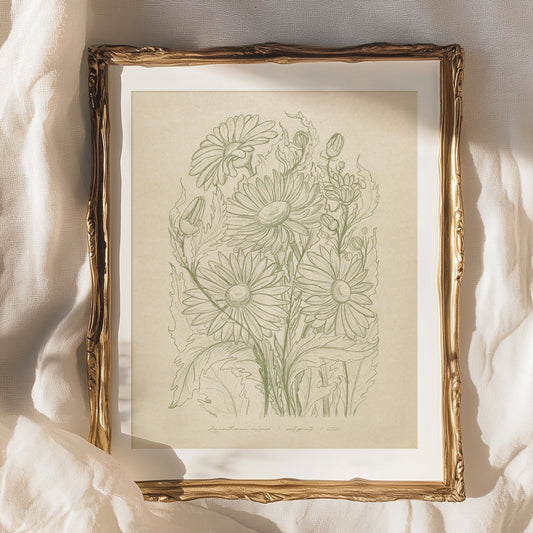 Antique hand drawn Daisy flowers Printable wall art Digital poster sketch, wall hanging, line prints, Vintage art, unique wall art, trendy wall art, thank you gift boss, downloadable art, teacher appreciation gift, Summer wall art, sister in law gift, shelf decor, self gift, Sage green color, rustic artwork, Retro artwork, retirement gift, contemporary lines, digital download, realtor closing gift, plant lover gift, illustration, green art, office wall decor, flower, bedroom, nurse gift, niece gift