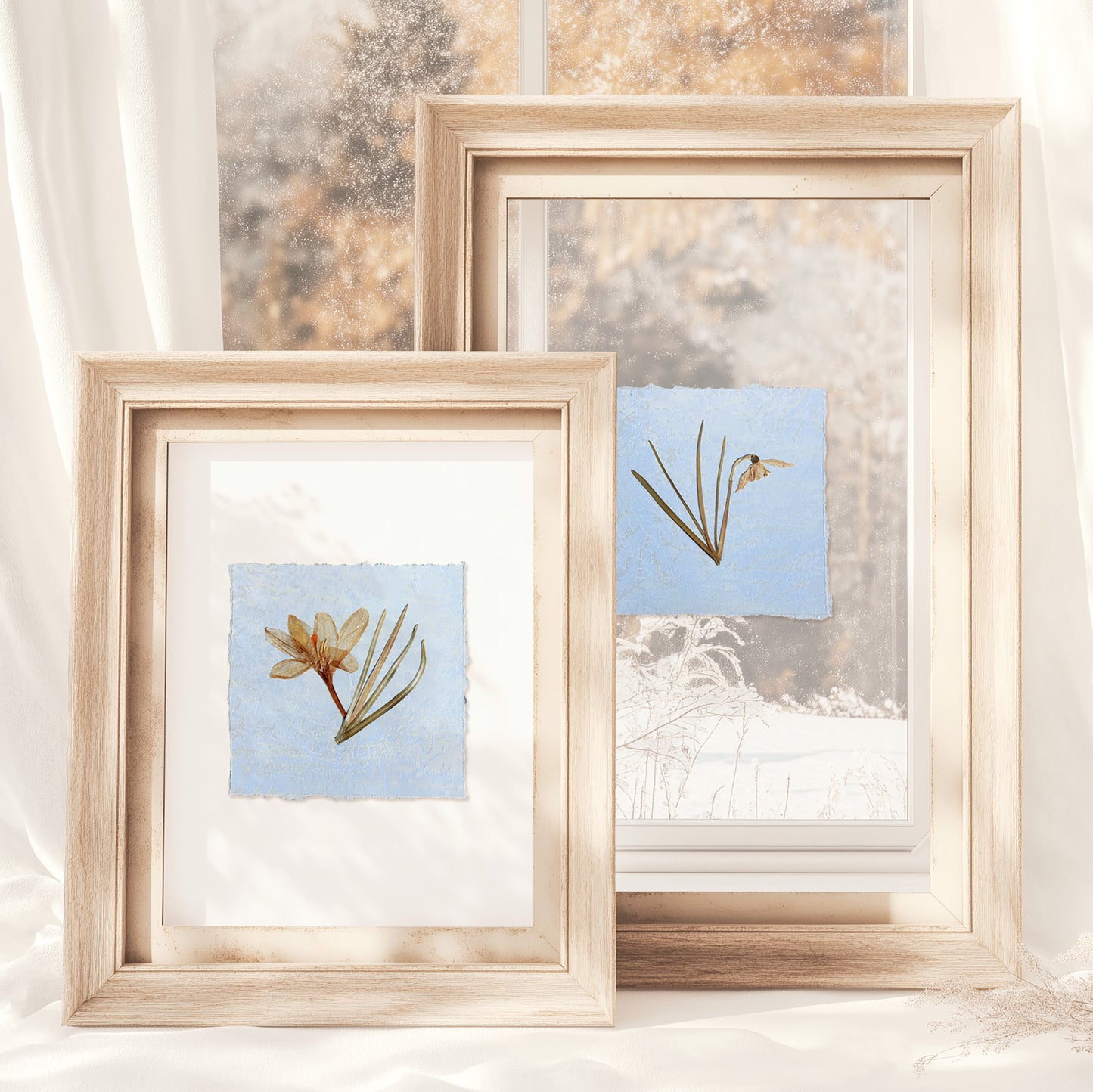 Mini gallery wall set of 2 Saffron and Snowdrop pressed flowers Blue and white monotype print Gray original artwork decor UNFRAMED wall hanging, unique wall art, trendy wall art, thank you gift boss, teacher appreciation gift, Summer wall art, Spring wall art, sister in law gift, shelf decor, self gift, rustic wall art, retirement gift, realtor closing gift, pressed plants art, pressed leaves art, Pressed flower art, Plant print, plant lover gift, original artwork, one of a kind, nurse gift