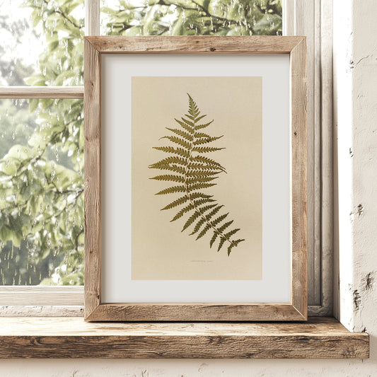Minimalist Pressed Fern Leaf Plant Original Artwork Herbarium Living Room Foraged Wall Decor One of Kind Farm Thanksgiving Table Mother Gift dried 
wall hanging, unique wall art, trendy wall art, thank you gift boss, teacher appreciation gift, Summer wall art, Spring wall art, sister in law gift, shelf decor, self gift, rustic wall art, retirement gift, realtor closing gift, Back to School Teacher Gift, pressed plants art, pressed leaves art, Pressed flower art, Fall Gift for Her, Plant print, plant lover