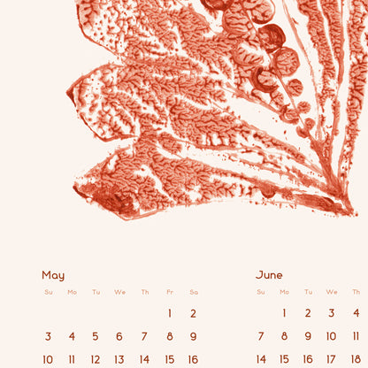 2026 Printable Modern Wall Calendar Abstract Beige Terracotta Monotype Flowers Plants 11x17 Contemporary Illustrated Living Decor INSTANT DOWNLOAD 
mothers day gift ideas, gift for best friend female, college graduation gift, gift for best friend female, nurse gift, retirement gift, teacher retirement gift, going away gift for coworker, employee appreciation gift, thoughtful teacher gift, pass the gift game realtor closing gift, fathers day gift, grandpa gift, new dad gift, Say Thanks, sister birthday gift