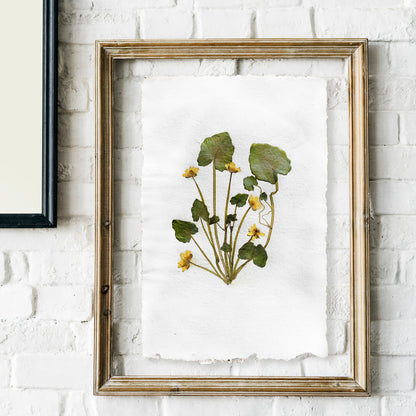 "Ficaria verna" Herbarium Yellow and green dried flower Original artwork Recycled paper UNFRAMED Pressed flowers One of a kind Bedroom Living room Farmhouse kitchen Cottagecore wall art Foraged Vintage Retro home decor Housewife Mother Gift Nature Plant lover gift 