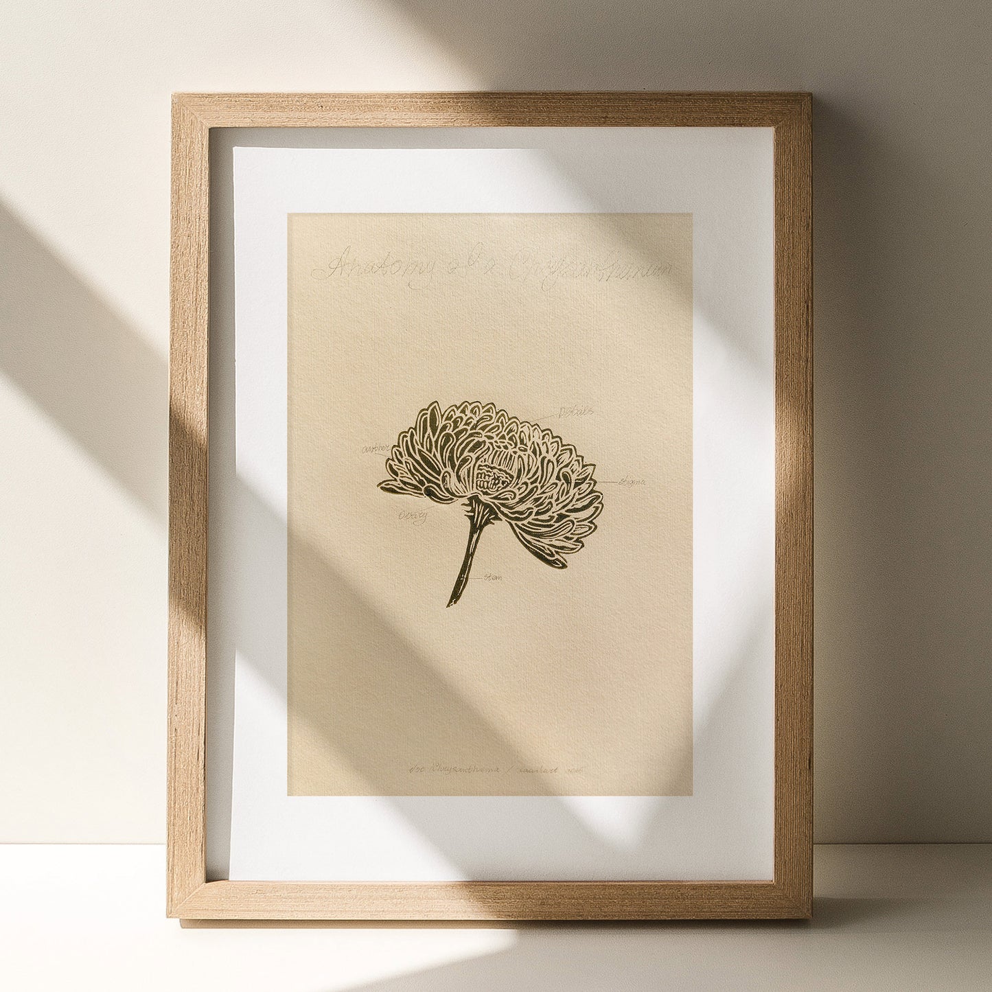 Vintage Anatomy Chrysanthemum Flowers Linocut Print Gallery Wall Set of 2 Cottagecore Floral Original Artwork Kitchen Art Decor Mother 
daughter in law gift cottagecore wall art cottage core Botanical &nbsp;bookshelf decor Block print Beige color Bedroom wall art bathroom print aunt gift anatomy of flowers Aesthetic wall art A4 chateaucore  wall hanging Vintage art unique wall art trendy thank you gift boss teacher appreciation gift Summer Spring wall art sister in law gift signature shelf decor self gift 