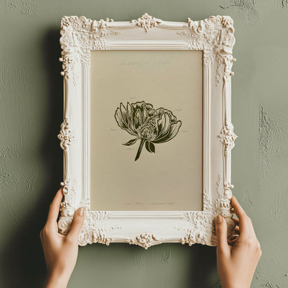 Vintage Anatomy Peony Flower Linocut Print Sage Green Botanical Original Artwork Chateaucore Bedroom Wall Art Decor Educational Nature Gift 
one of a kind office wall decor nurse gift niece gift from aunt new mom gift new job gift New home gift new grandma gift new apartment housewarming gift new apartment gift nature print nature lover gift mothers day gift ideas mothers day gift from daughter mothers day gift mother in law gift mom birthday gift Modern kitchen art Mid century modern long distance gift 